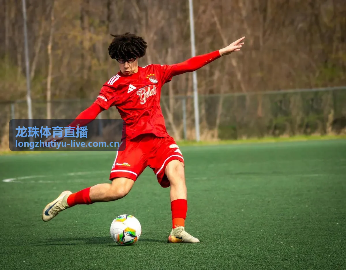 龙珠体育直播赛事回放与集锦功能