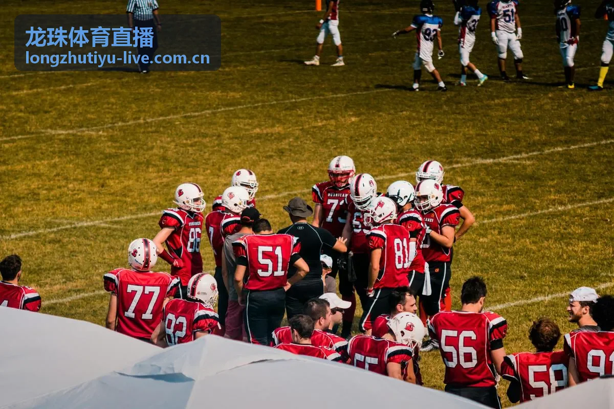 龙珠体育直播同类赛事直播画面